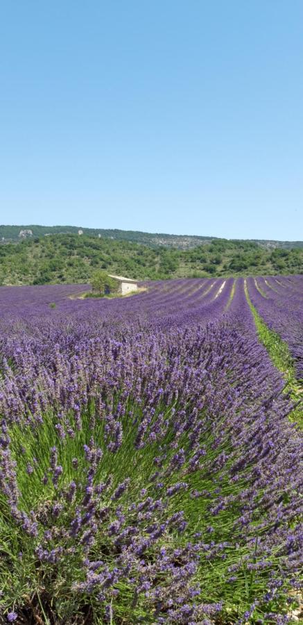 Gîtes Les Costoliers Châteauneuf-Miravail Extérieur photo